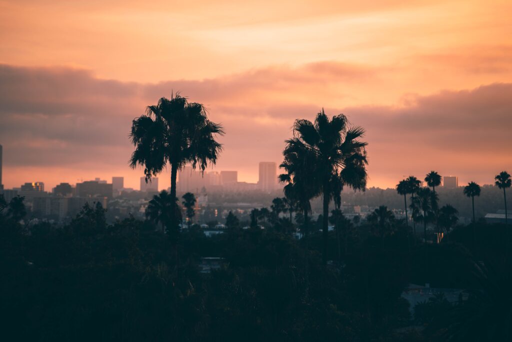 studio city psychologist