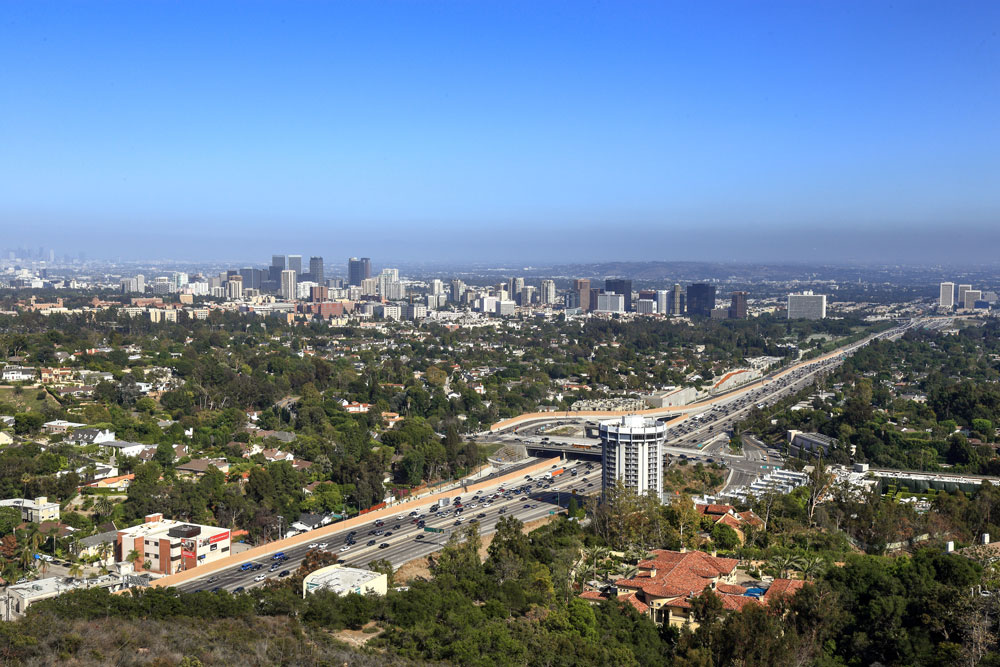 psychologist century city