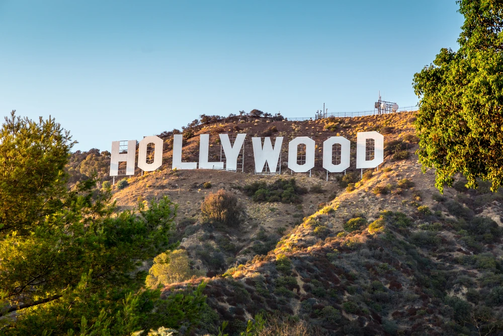 Hollywood Psychologist